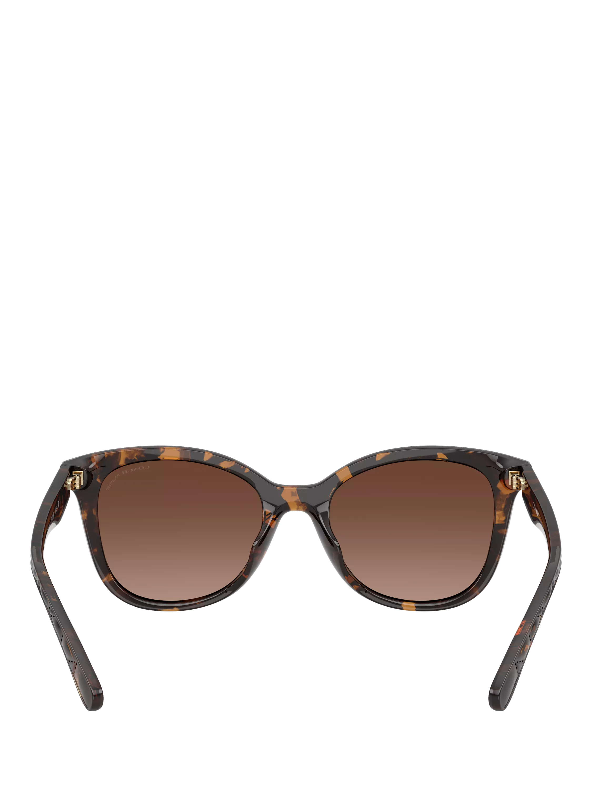 Coach D-frame polarised gradient brown sunglasses, UK version