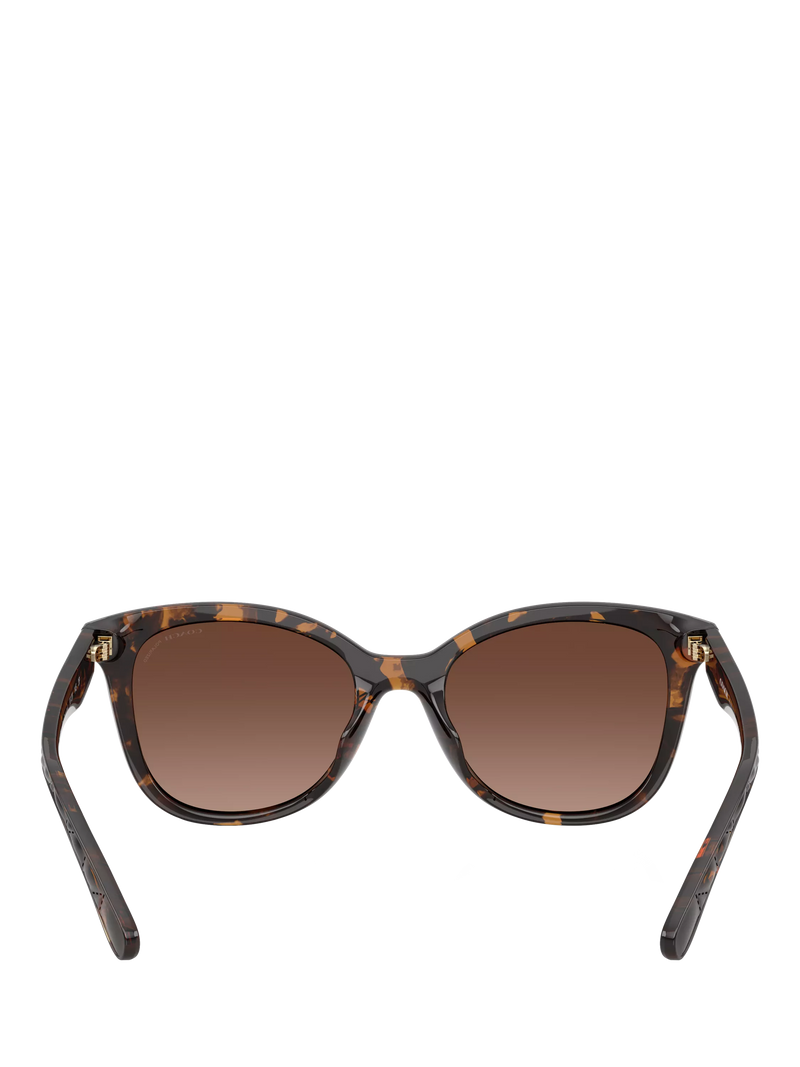 Coach D-frame polarised gradient brown sunglasses, UK version