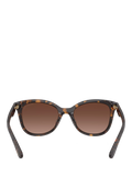 Coach D-frame polarised gradient brown sunglasses, UK version