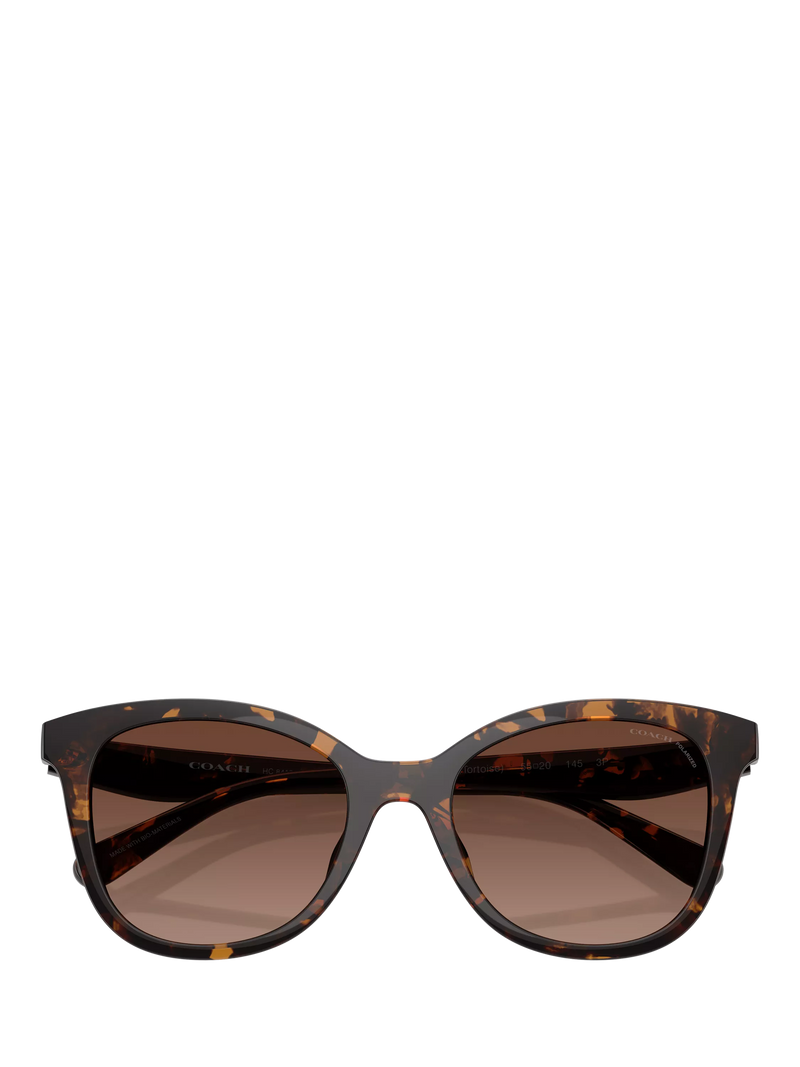 Coach D-frame polarised gradient brown sunglasses, UK version