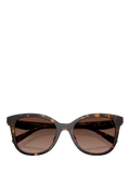 Coach D-frame polarised gradient brown sunglasses, UK version