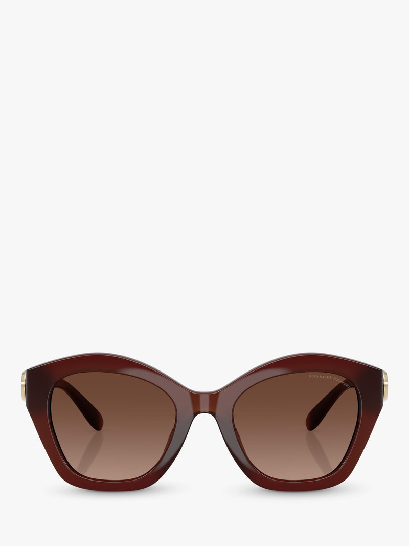 Coach polarised irregular sunglasses brown frame gradient lenses - British product