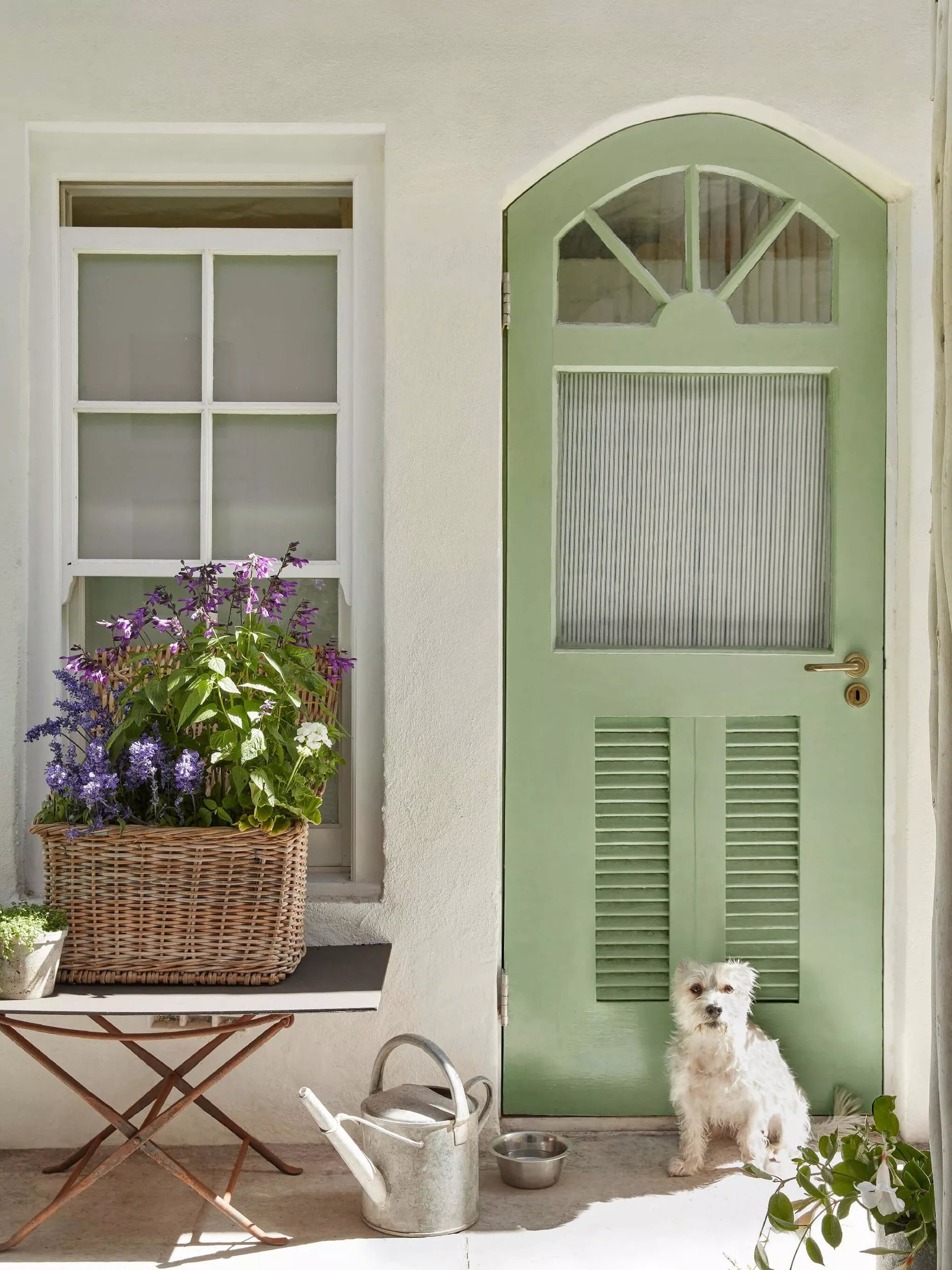 The Little Greene Paint Company Intelligent Matt Emulsion Pale Greens Matt Emulsion Paint 2500ml