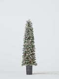 Finchley Potted Pre Lit Christmas Tree Snowy