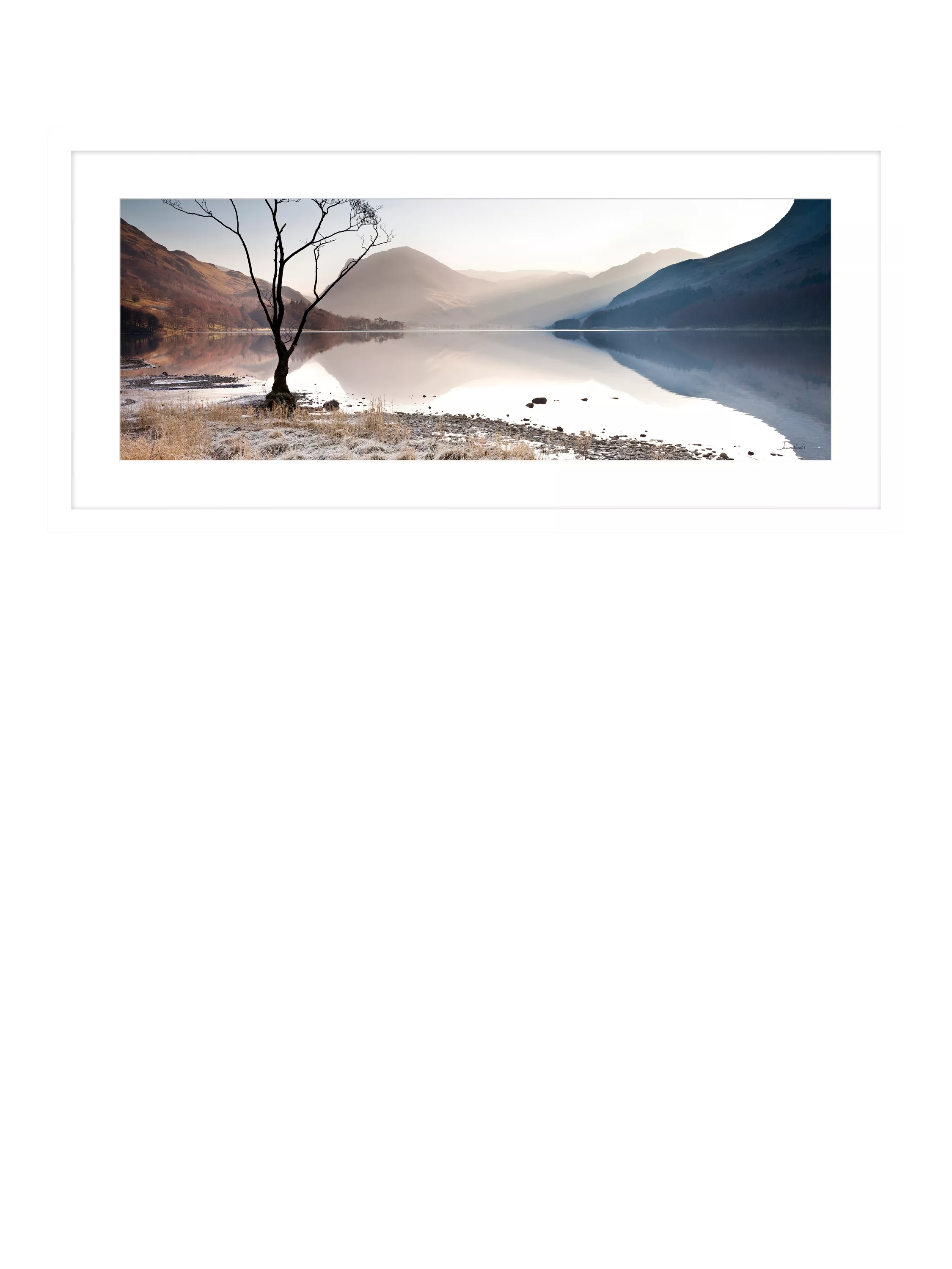 John Lewis Buttermere Tree print 49.5x104.5cm, imported from the UK
