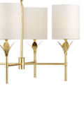 John Lewis 4 arm brass chandelier ceiling light UK version