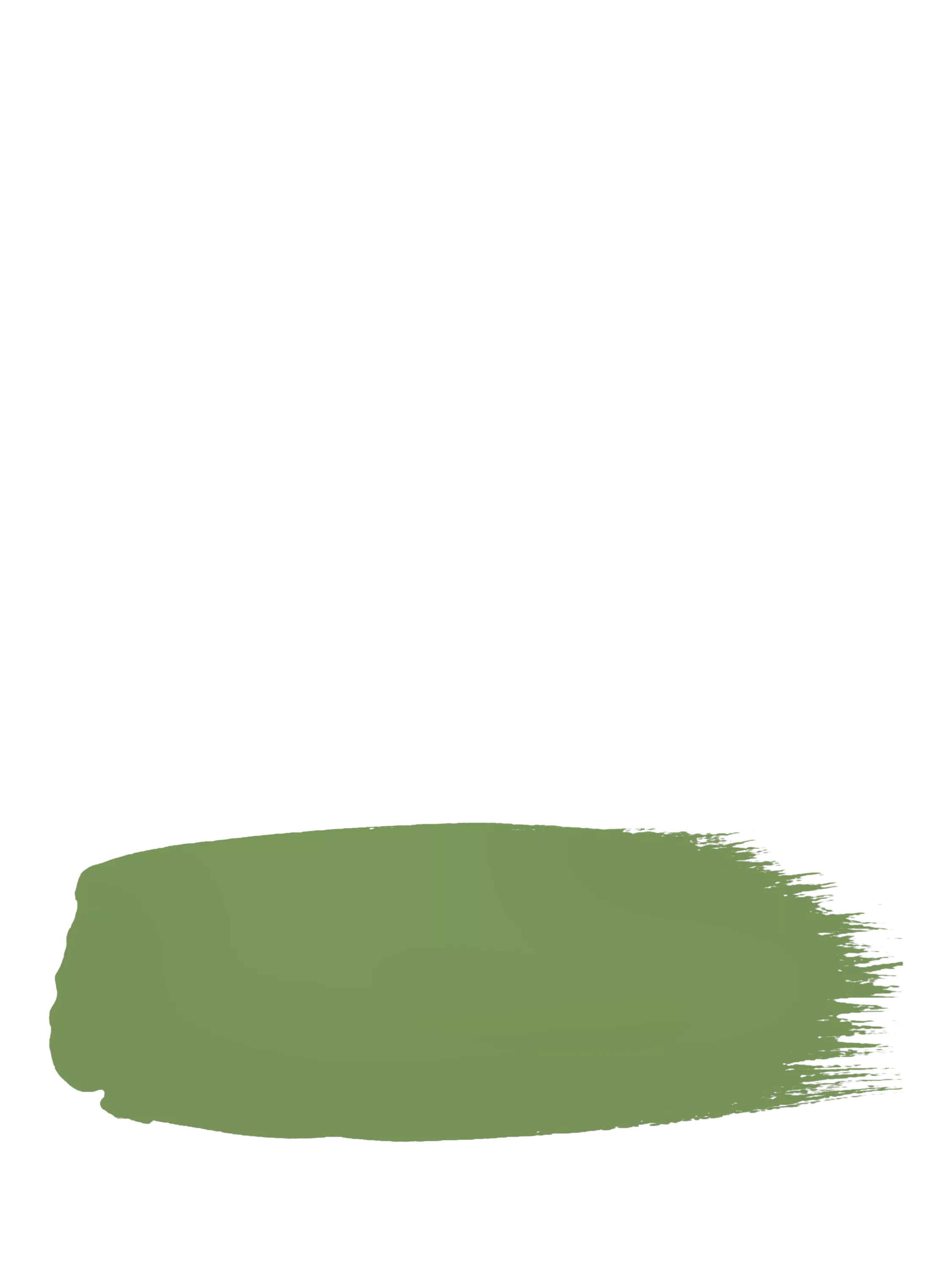The Little Greene Paint Company Intelligent Eggshell Strong Greens Paint 1000ml