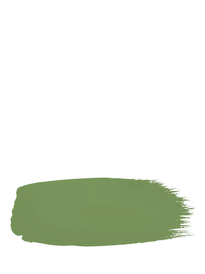 The Little Greene Paint Company Intelligent Eggshell Strong Greens Paint 1000ml