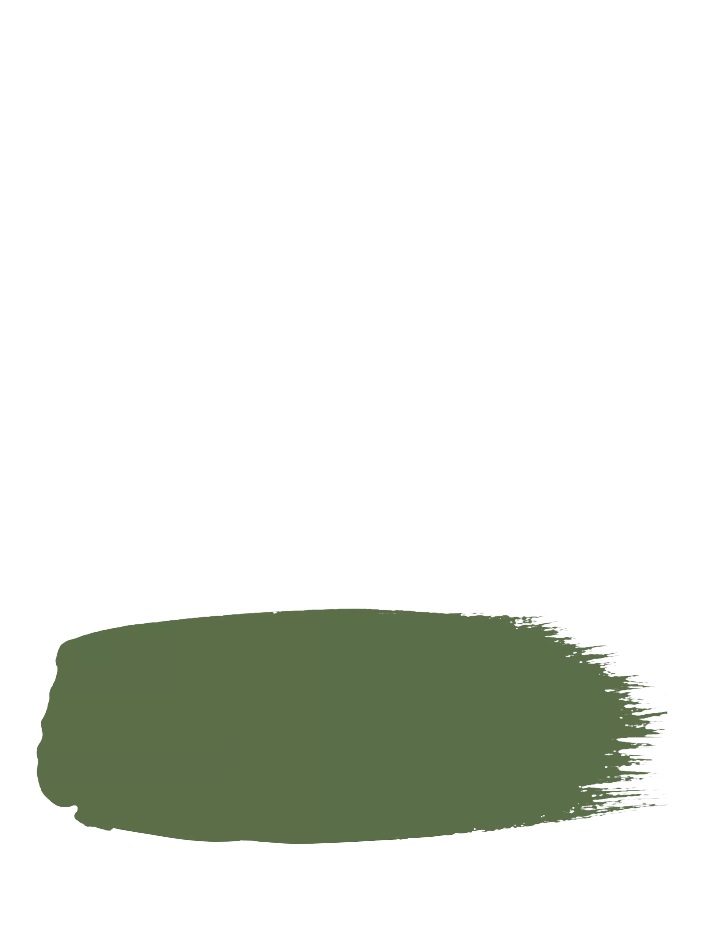 The Little Greene Paint Company Intelligent Eggshell Strong Greens Paint 1000ml