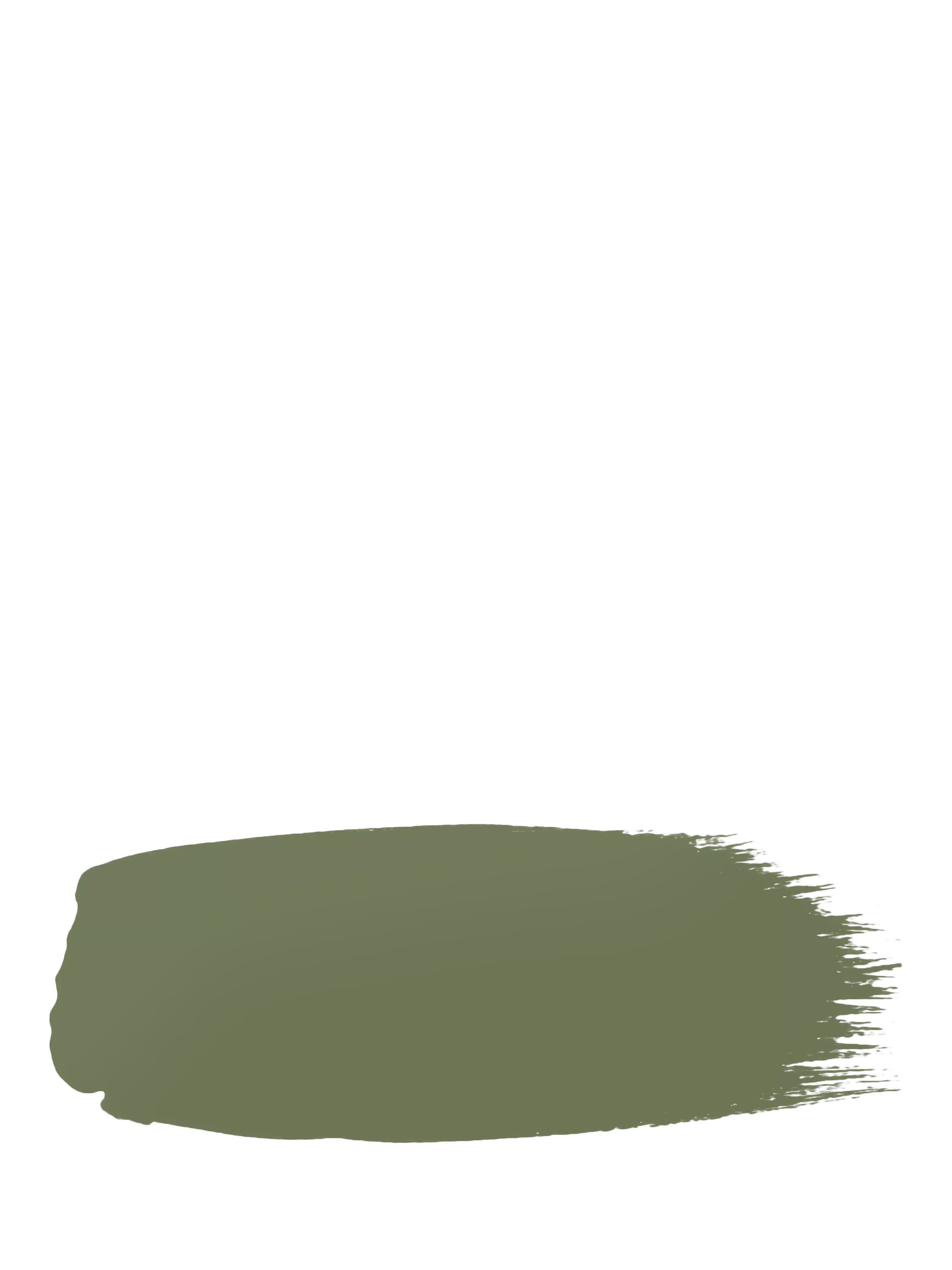 The Little Greene Paint Company Intelligent Eggshell Strong Greens Paint 1000ml
