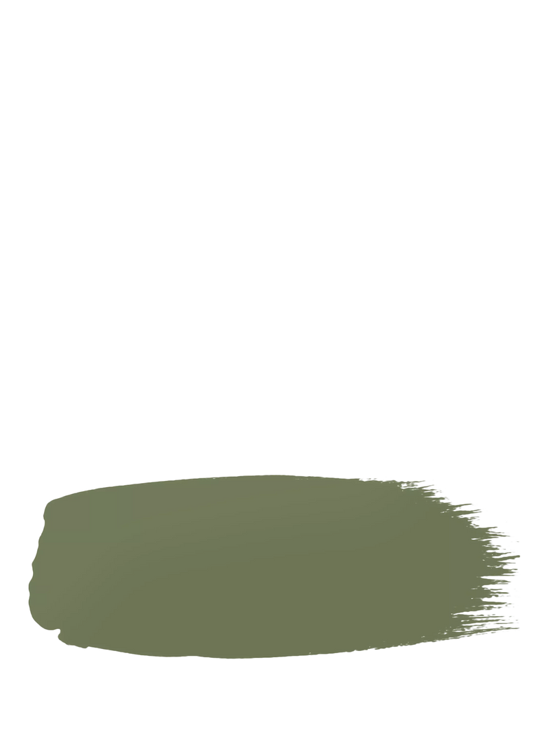 The Little Greene Paint Company Intelligent Eggshell Strong Greens Paint 1000ml