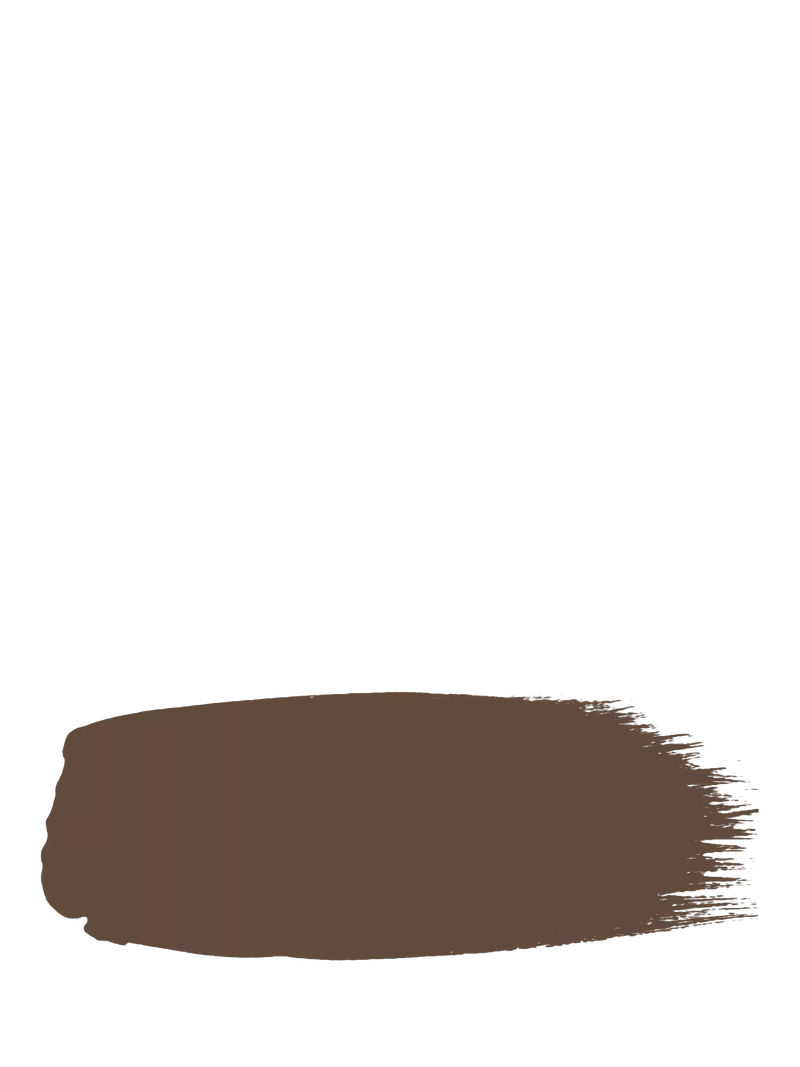 The Little Greene Paint Company Intelligent Eggshell Browns Paint 1000ml