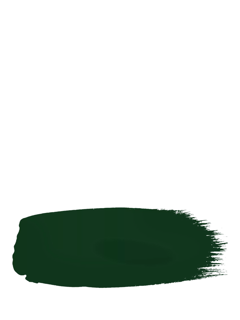 The Little Greene Paint Company Intelligent Matt Emulsion Strong Greens 2500ml