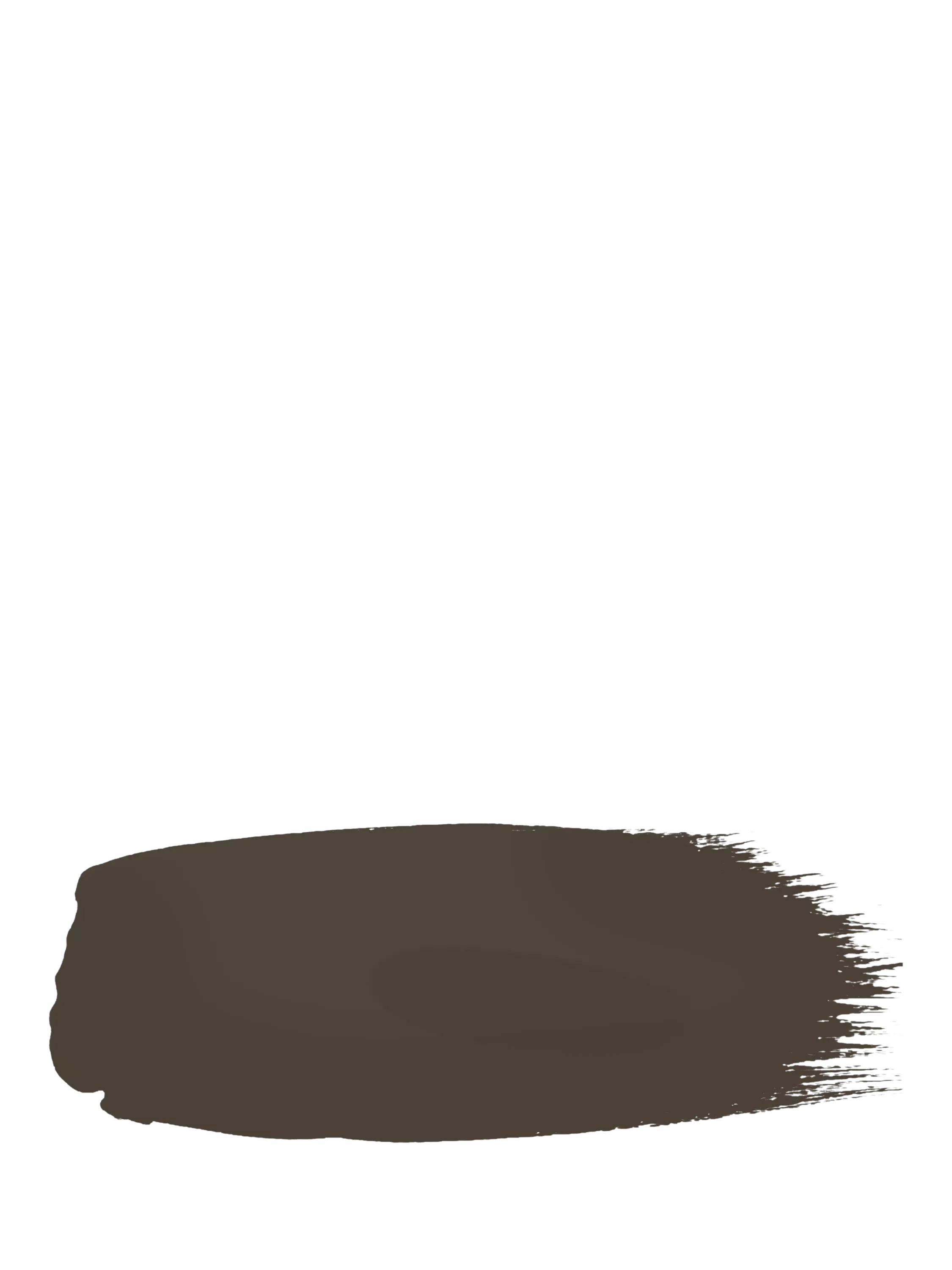 The Little Greene Paint Company Intelligent Matt Emulsion Brown Paint 2500ml