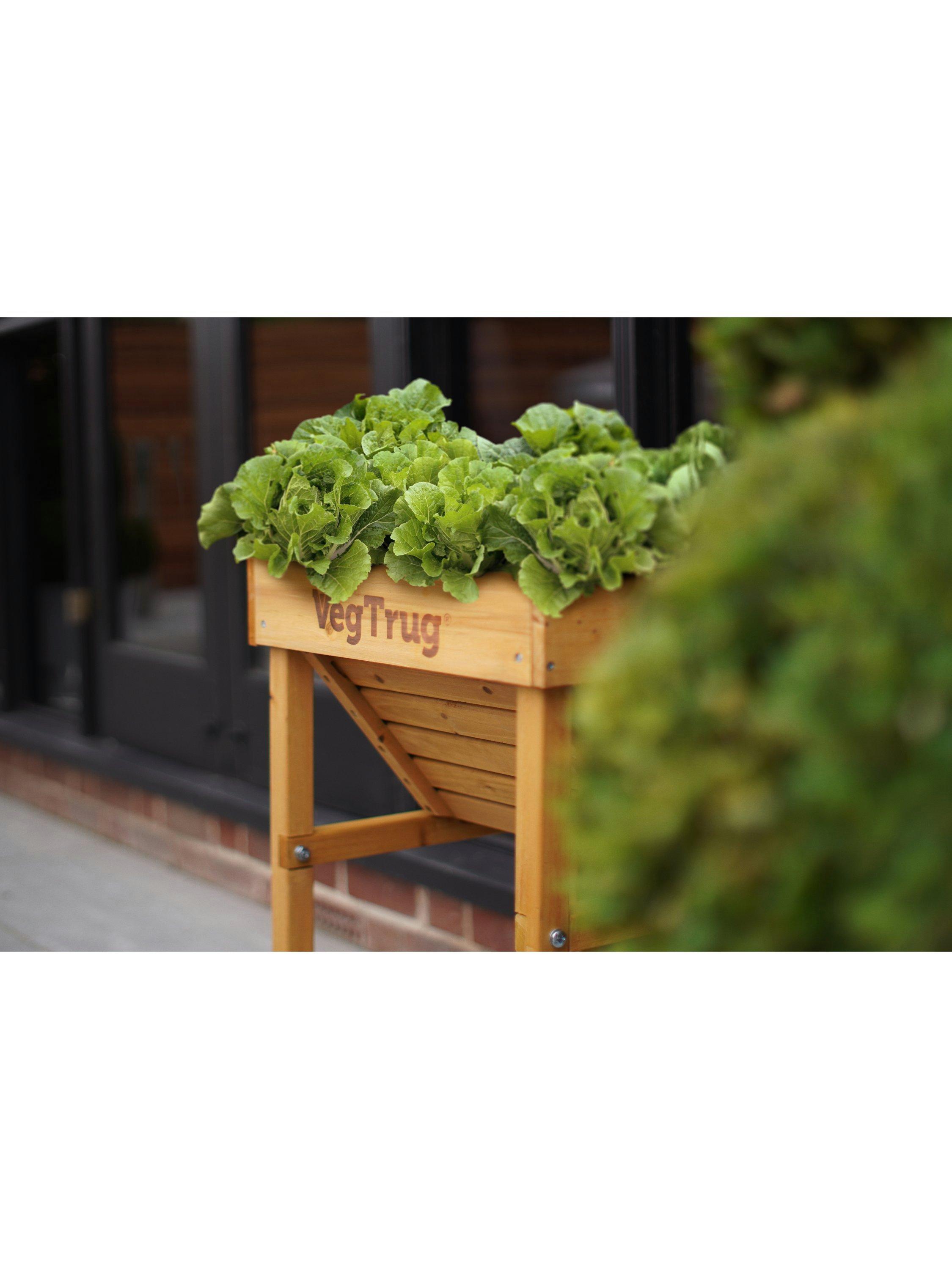 VegTrug kids outdoor natural planter 49cm, UK version
