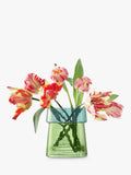 LSA International Gems jade glass vase lantern 23cm - British product