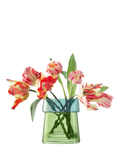 LSA International Gems jade glass vase lantern 23cm - British product