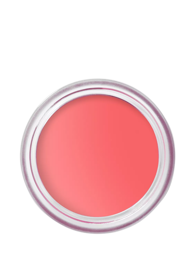 Bobbi Brown Pot Rouge Matte Blush for Cheeks and Lips 8.5g
