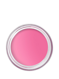 Bobbi Brown Pot Rouge Matte Blush for Cheeks and Lips 8.5g