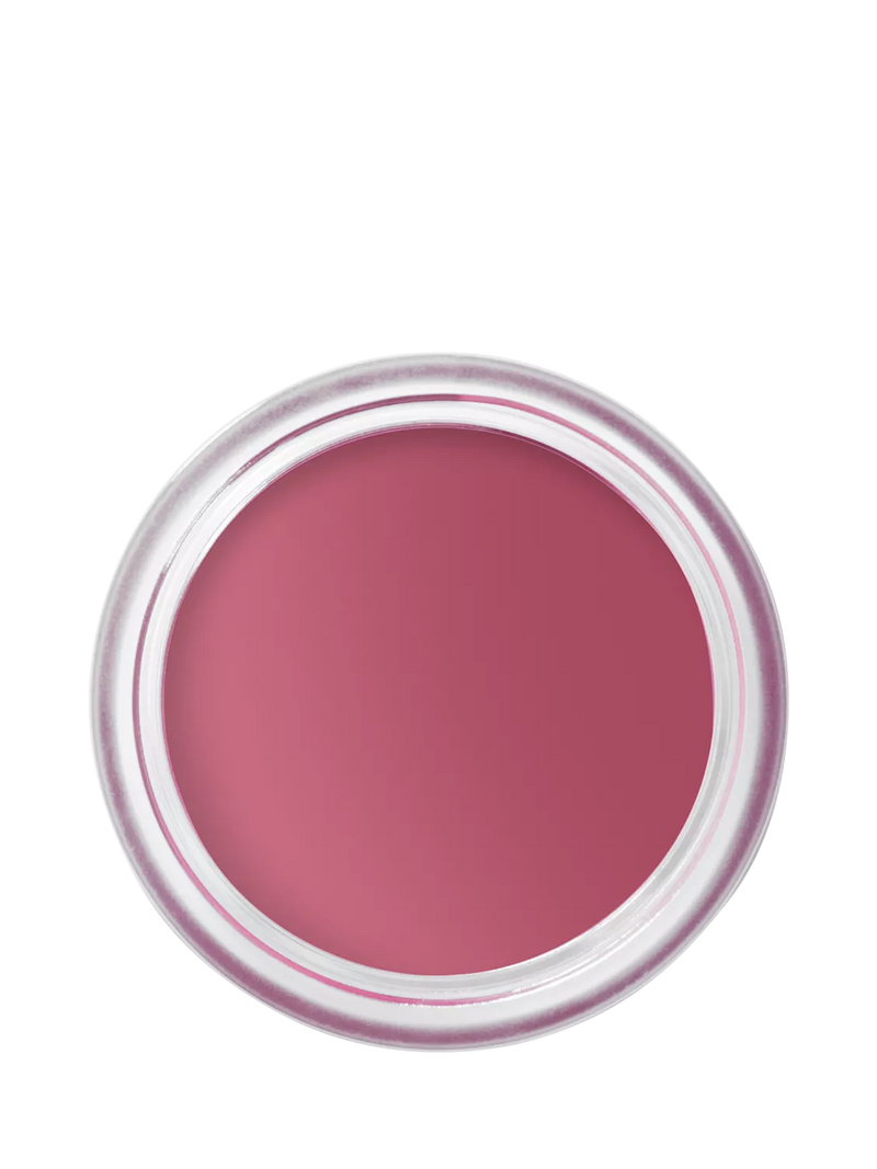 Bobbi Brown Pot Rouge Matte Blush for Cheeks and Lips 8.5g
