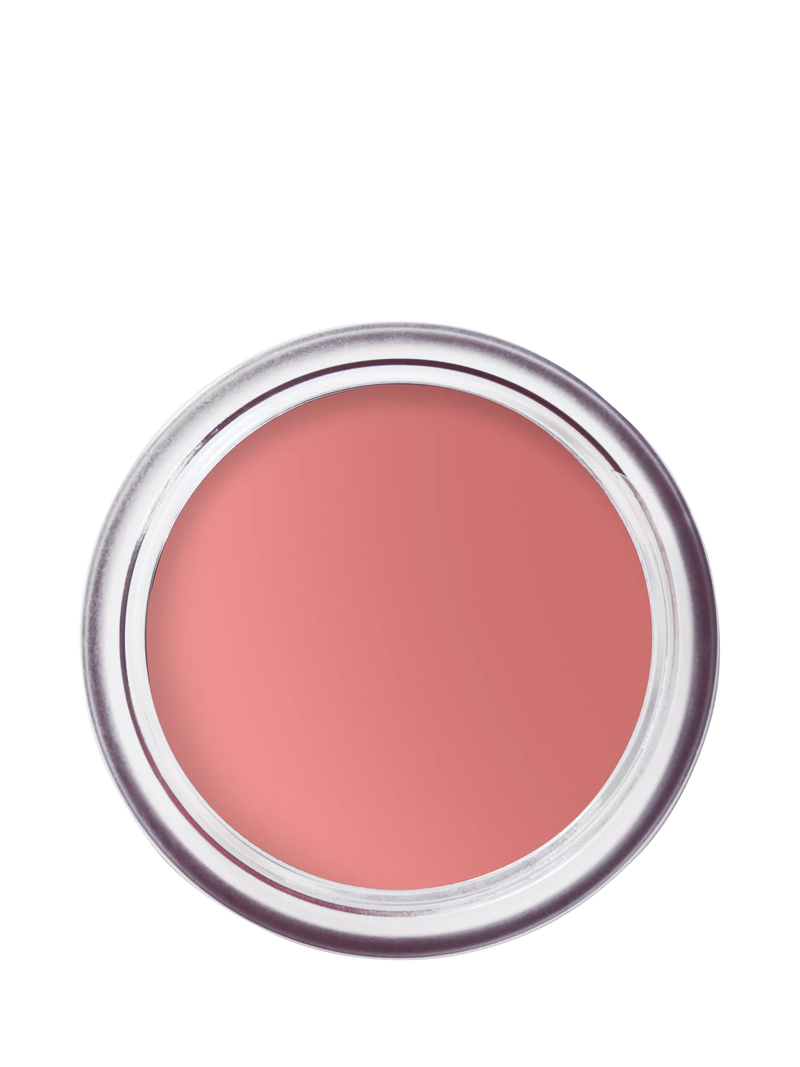 Bobbi Brown Pot Rouge Matte Blush for Cheeks and Lips 8.5g