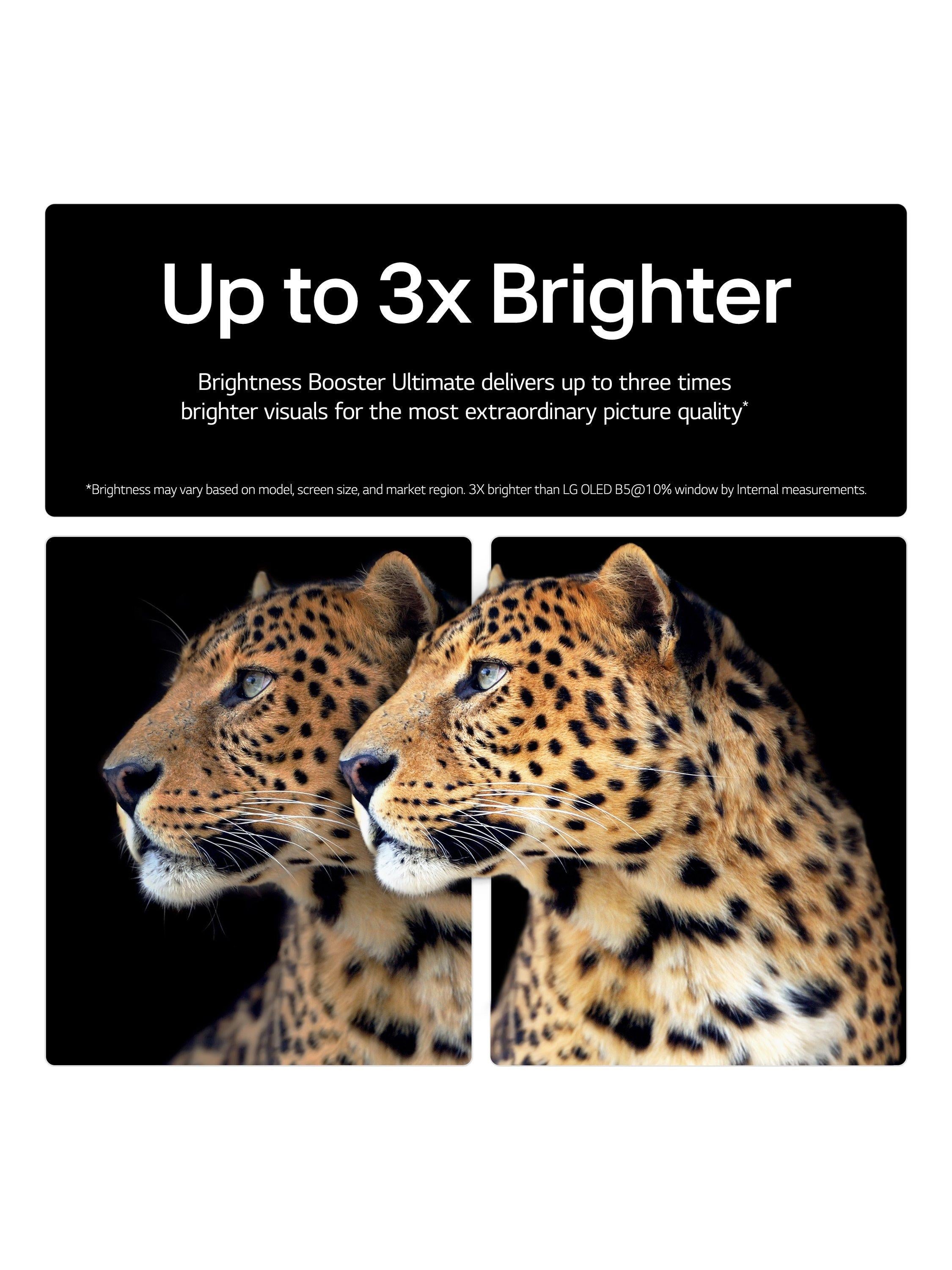 LG OLED evo 48 inch 4K smart TV 2025, imported from the UK