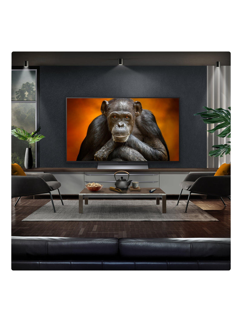 LG OLED evo 48 inch 4K smart TV 2025, imported from the UK