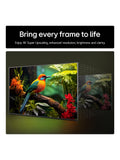 LG 43 inch 4K Smart TV UA75 2025, UK version