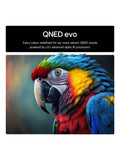 LG QNED87A 4K HDR TV 50 inch (British brand)