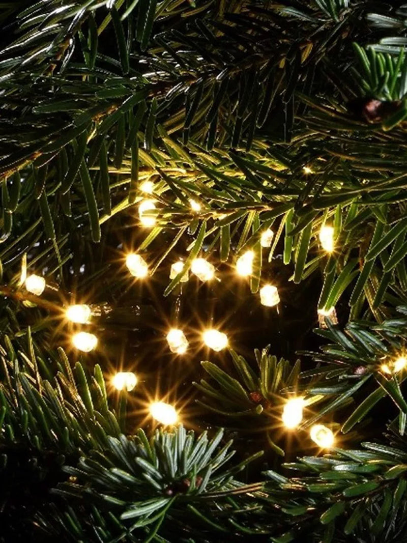 NOMA 360 LED warm white string lights, imported from the UK