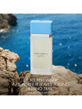 Dolce & Gabbana Light Blue eau de toilette 100ml (British brand)