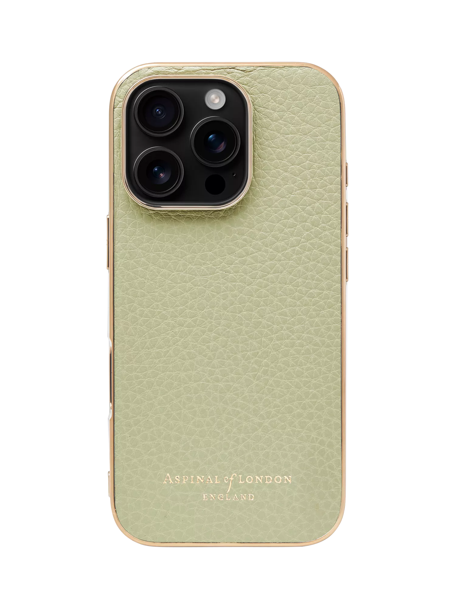 Aspinal of London Leather iPhone 16 Pro Case