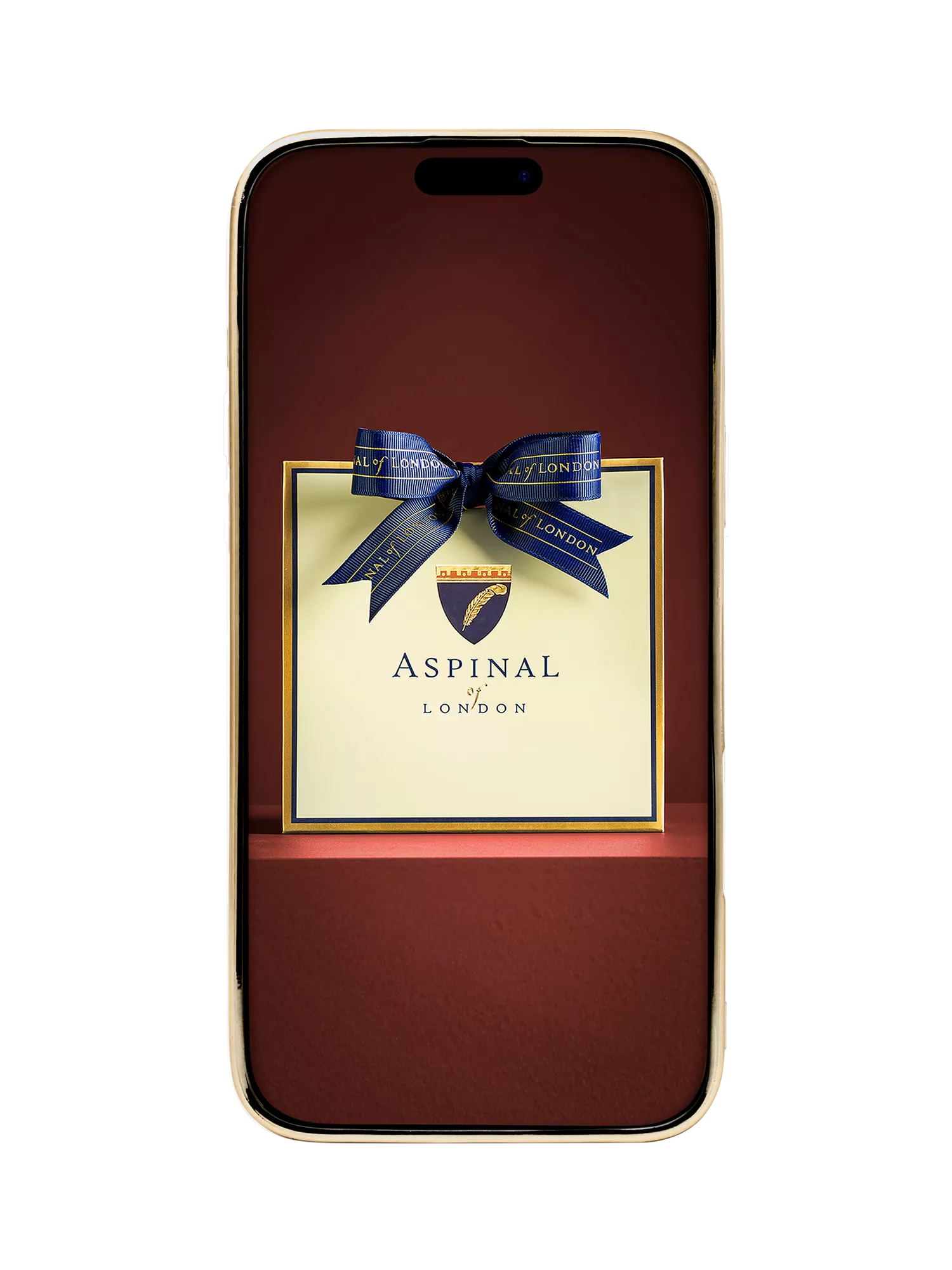 Aspinal of London iPhone 16 Pro Max leather case tan - British product