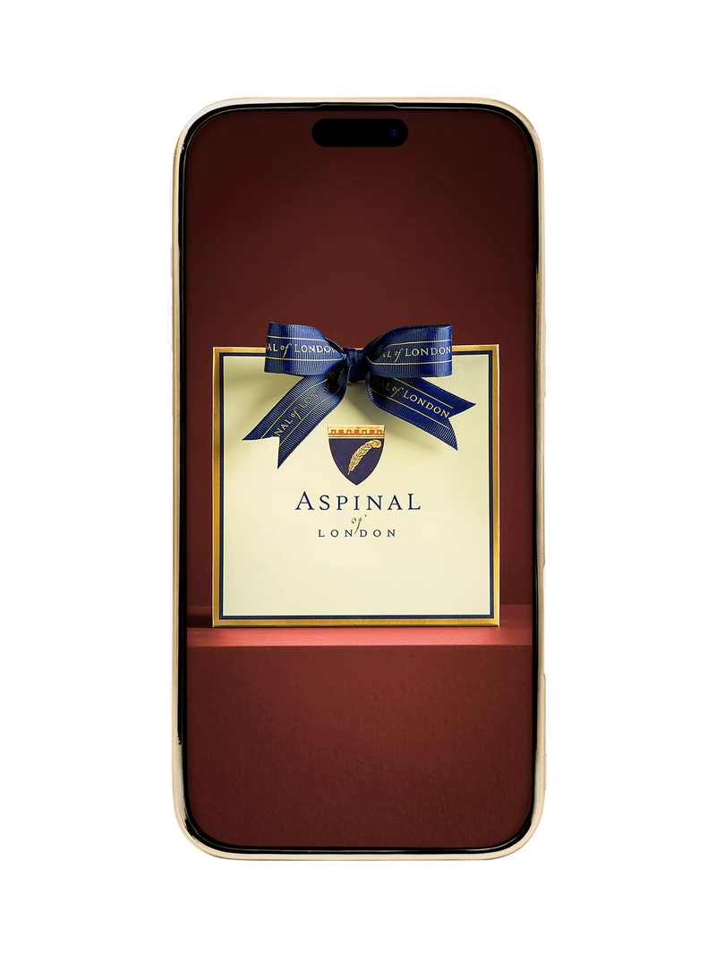 Aspinal of London iPhone 16 Pro Max leather case tan - British product
