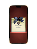Aspinal of London iPhone 16 Pro Max leather case tan - British product