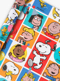 Character-Themed Wrapping Paper Roll 3m with Tear Strip and Cutting Grid