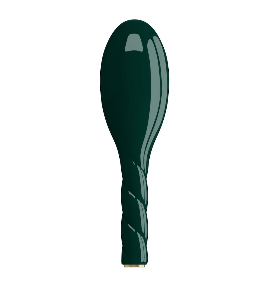 La Bonne Brosse universal shine hairbrush small (British brand)