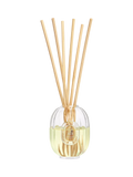 Diptyque glass vessel for reed diffusers 100ml - British product