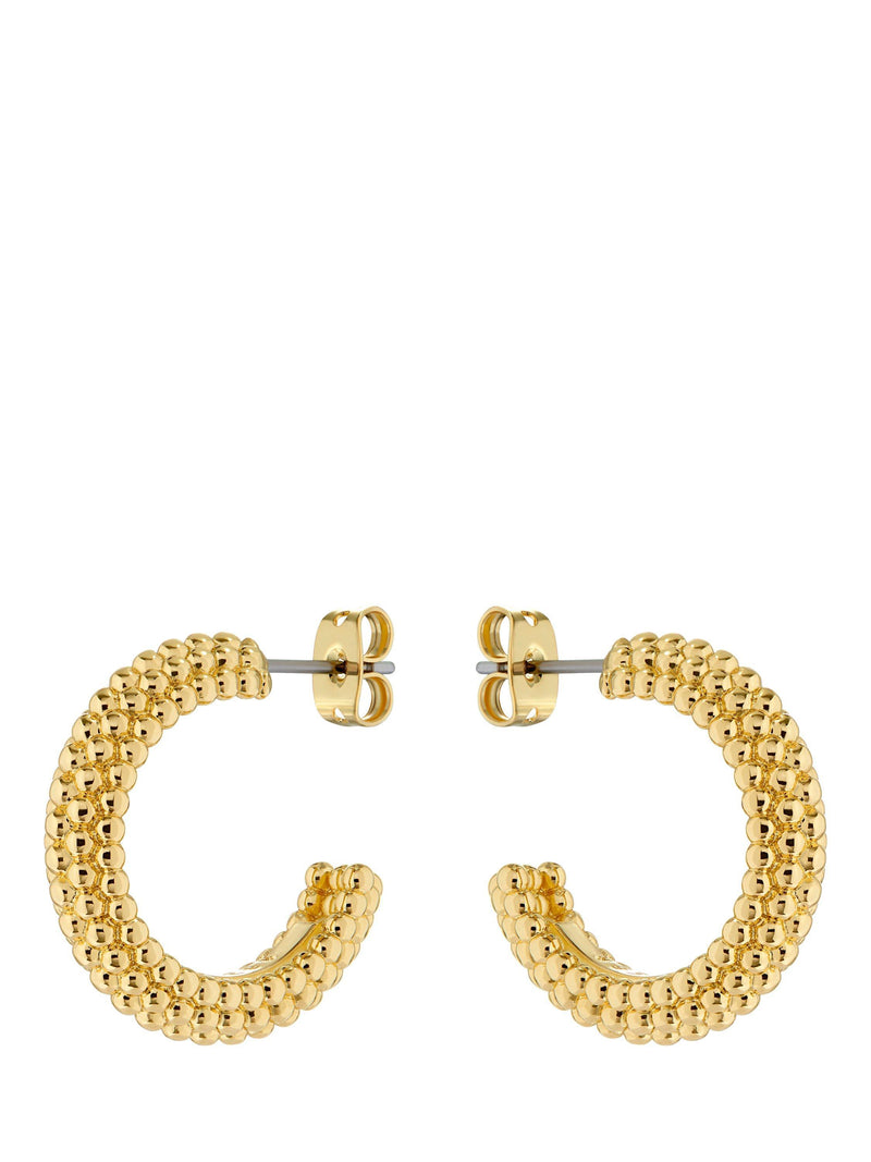 Ted Baker Dotetta Hoop Earrings gold tone (British brand)