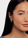 Ted Baker Dotetta Hoop Earrings gold tone (British brand)