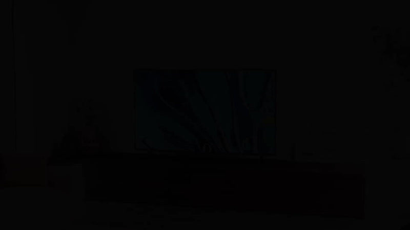 Sony Bravia 3 4K TV 55 inch, imported from the UK