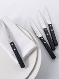 Robert Welch Trattoria Bright steak knife set - British product