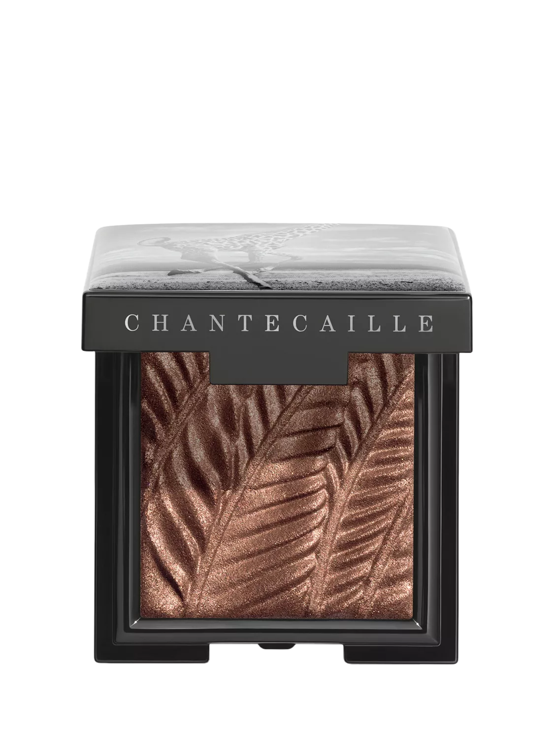 Chantecaille Luminescent Eye Shade Shimmer Eyeshadow 2.5g