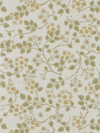 John Lewis Sanderson Silver Lime Design Wallpaper- Buy online at McGrocer
