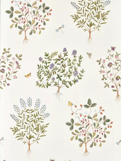 Thyme Walk Inspired Wallpaper with Herbal Designs