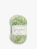 West Yorkshire Spinners Butterflies 4ply knitting yarn 100g (British brand)