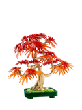 LEGO Botanicals Bonsai Tree building set 10348 - British product
