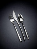 Arthur Price Signature Echo stainless steel dessert spoon (British brand)