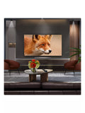LG C5 OLED evo 48 inch TV - British product