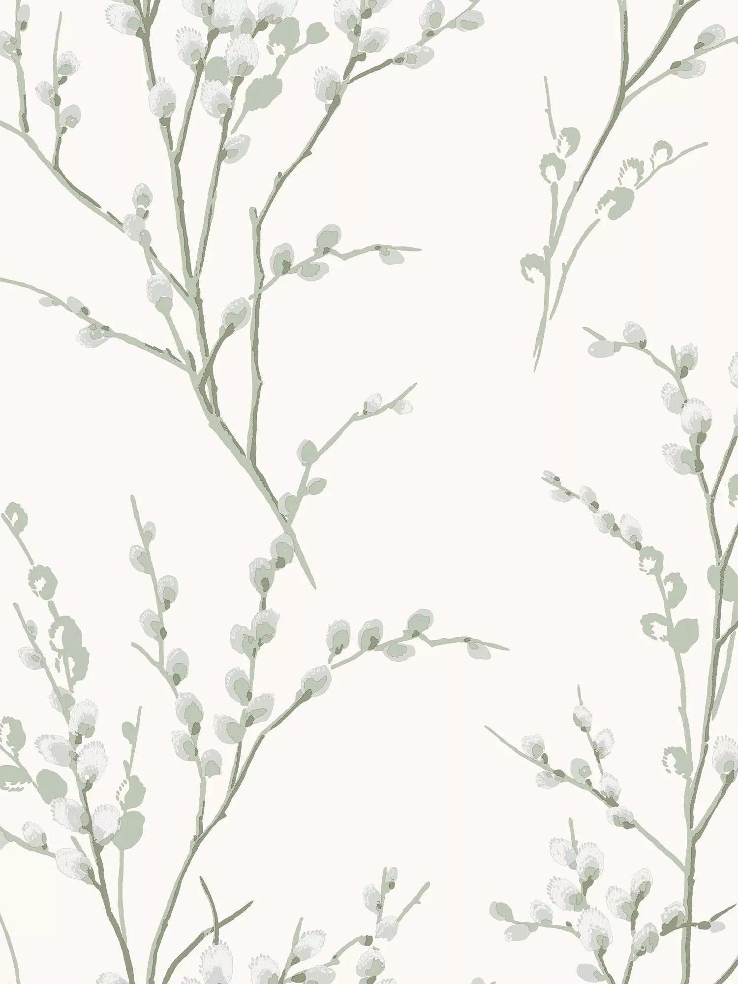 Pussy Willow Floral Wallpaper in Natural Tones